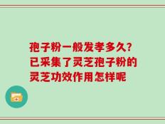 孢子粉一般发孝多久？已采集了灵芝孢子粉的灵芝功效作用怎样呢
