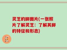 灵芝的脚图片(一张照片了解灵芝：了解其脚的特征和形态)