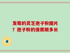 发霉的灵芝孢子粉图片？孢子粉的保质期多长