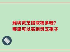 潍坊灵芝提取物多糖？哪里可以买到灵芝孢子