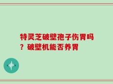 特灵芝破壁孢子伤胃吗？破壁机能否养胃