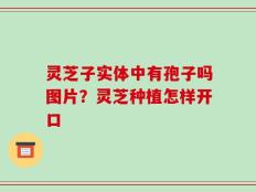 灵芝子实体中有孢子吗图片？灵芝种植怎样开口