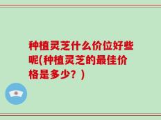 种植灵芝什么价位好些呢(种植灵芝的最佳价格是多少？)