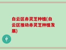 白云区赤灵芝种植(白云区推动赤灵芝种植发展)