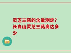 灵芝三萜的含量测定？长白山灵芝三萜高达多少