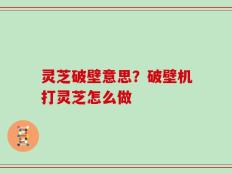 灵芝破壁意思？破壁机打灵芝怎么做