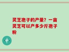 灵芝孢子的产量？一亩灵芝可以产多少斤孢子粉