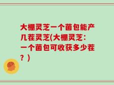 大棚灵芝一个菌包能产几茬灵芝(大棚灵芝：一个菌包可收获多少茬？)