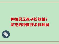 种植灵芝孢子粉效益？灵芝的种植技术和利润
