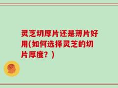 灵芝切厚片还是薄片好用(如何选择灵芝的切片厚度？)