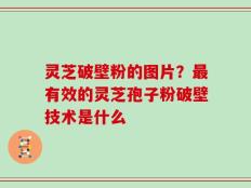 灵芝破壁粉的图片？最有效的灵芝孢子粉破壁技术是什么