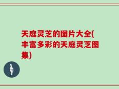 天庭灵芝的图片大全(丰富多彩的天庭灵芝图集)