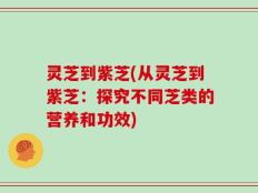 灵芝到紫芝(从灵芝到紫芝：探究不同芝类的营养和功效)