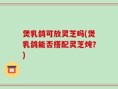 煲乳鸽可放灵芝吗(煲乳鸽能否搭配灵芝炖？)