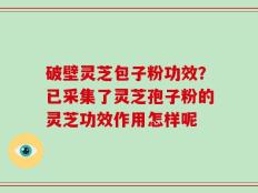 破壁灵芝包子粉功效？已采集了灵芝孢子粉的灵芝功效作用怎样呢