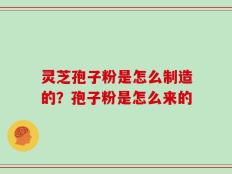 灵芝孢子粉是怎么制造的？孢子粉是怎么来的