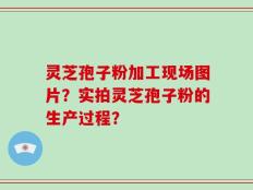 灵芝孢子粉加工现场图片？实拍灵芝孢子粉的生产过程？
