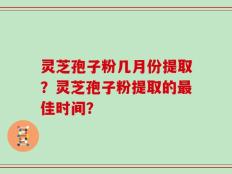 灵芝孢子粉几月份提取？灵芝孢子粉提取的最佳时间？