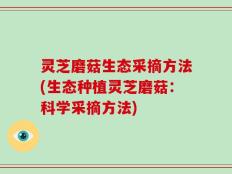 灵芝磨菇生态采摘方法(生态种植灵芝磨菇：科学采摘方法)