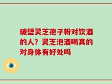 破壁灵芝孢子粉对饮酒的人？灵芝泡酒喝真的对身体有好处吗