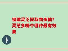 福建灵芝提取物多糖？灵芝多糖中哪种最有效果