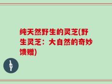 纯天然野生的灵芝(野生灵芝：大自然的奇妙馈赠)