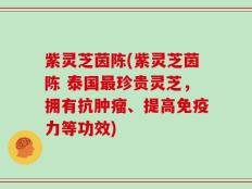 紫灵芝茵陈(紫灵芝茵陈 泰国最珍贵灵芝，拥有抗肿瘤、提高免疫力等功效)
