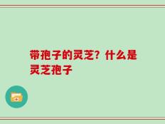 带孢子的灵芝？什么是灵芝孢子