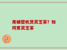 用破壁机煲灵芝茶？如何煮灵芝茶