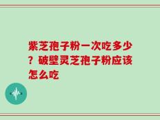 紫芝孢子粉一次吃多少？破壁灵芝孢子粉应该怎么吃