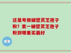 还是粤微破壁灵芝孢子粉？紫一破壁灵芝孢子粉到哪里买最好