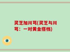 灵芝加川芎(灵芝与川芎：一对黄金搭档)