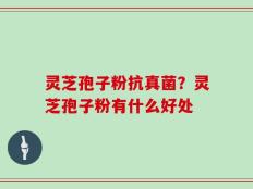 灵芝孢子粉抗真菌？灵芝孢子粉有什么好处