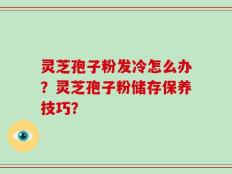 灵芝孢子粉发冷怎么办？灵芝孢子粉储存保养技巧？
