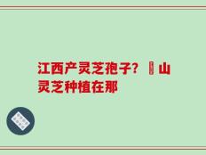 江西产灵芝孢子？碭山灵芝种植在那