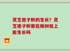 灵芝孢子粉的生长？灵芝孢子粉撒在枫树桩上能生长吗
