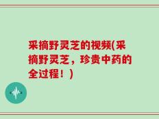 采摘野灵芝的视频(采摘野灵芝，珍贵中药的全过程！)