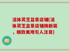活体灵芝盆景店铺(活体灵芝盆景店铺换新装，精致美观引人注目)