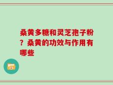 桑黄多糖和灵芝孢子粉？桑黄的功效与作用有哪些