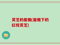 灵芝的屋檐(屋檐下的红棕灵芝)