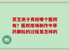 灵芝孢子贵阳哪个医院有？医院现场制作中草药颗粒的过程是怎样的