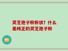 灵芝孢子粉粉状？什么是纯正的灵芝孢子粉