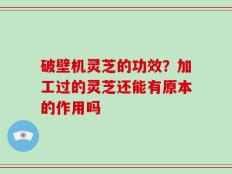 破壁机灵芝的功效？加工过的灵芝还能有原本的作用吗
