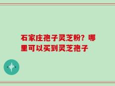 石家庄孢子灵芝粉？哪里可以买到灵芝孢子