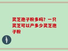 灵芝孢子粉多吗？一只灵芝可以产多少灵芝孢子粉