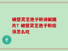 破壁灵芝孢子粉讲解图片？破壁灵芝孢子粉应该怎么吃