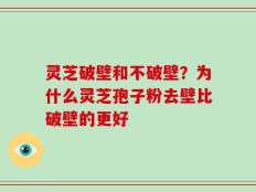 灵芝破壁和不破壁？为什么灵芝孢子粉去壁比破壁的更好