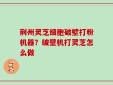 荆州灵芝细胞破壁打粉机器？破壁机打灵芝怎么做