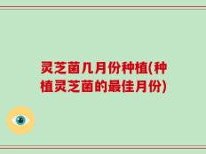 灵芝菌几月份种植(种植灵芝菌的最佳月份)