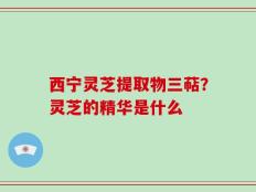 西宁灵芝提取物三萜？灵芝的精华是什么